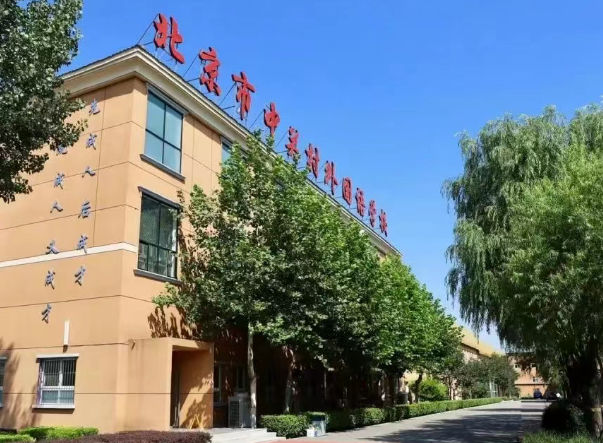 北京市中關(guān)村外國語學(xué)校中日融合班2025年招生簡章