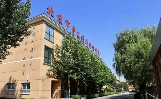 北京中關村外國語學校2025年招生詳解：HSC課程、學費及升學路徑
