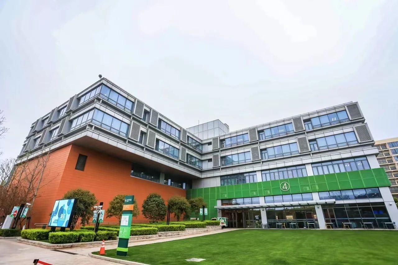剛結束中考的江浙家庭，扎堆擠進滬上國際學校？