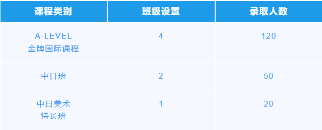 張家港市常青藤實驗學校國際部招生計劃和要求