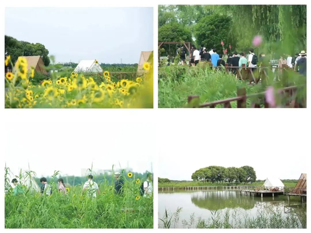 UIA美華學(xué)校