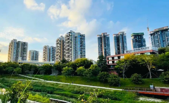 深圳IPC國際校區