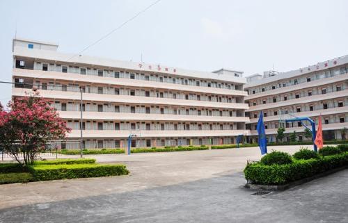 國際學校擇校，家長必知的擇校干貨指南
